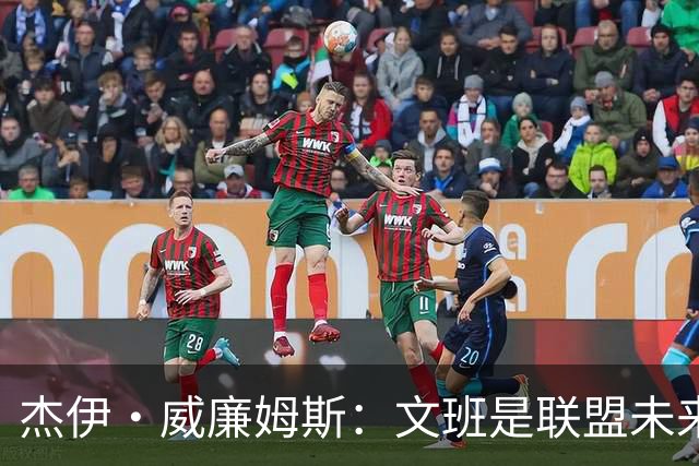 杰伊·威廉姆斯：文班是联盟未来门面 这就是他不会吃恶犯的原因